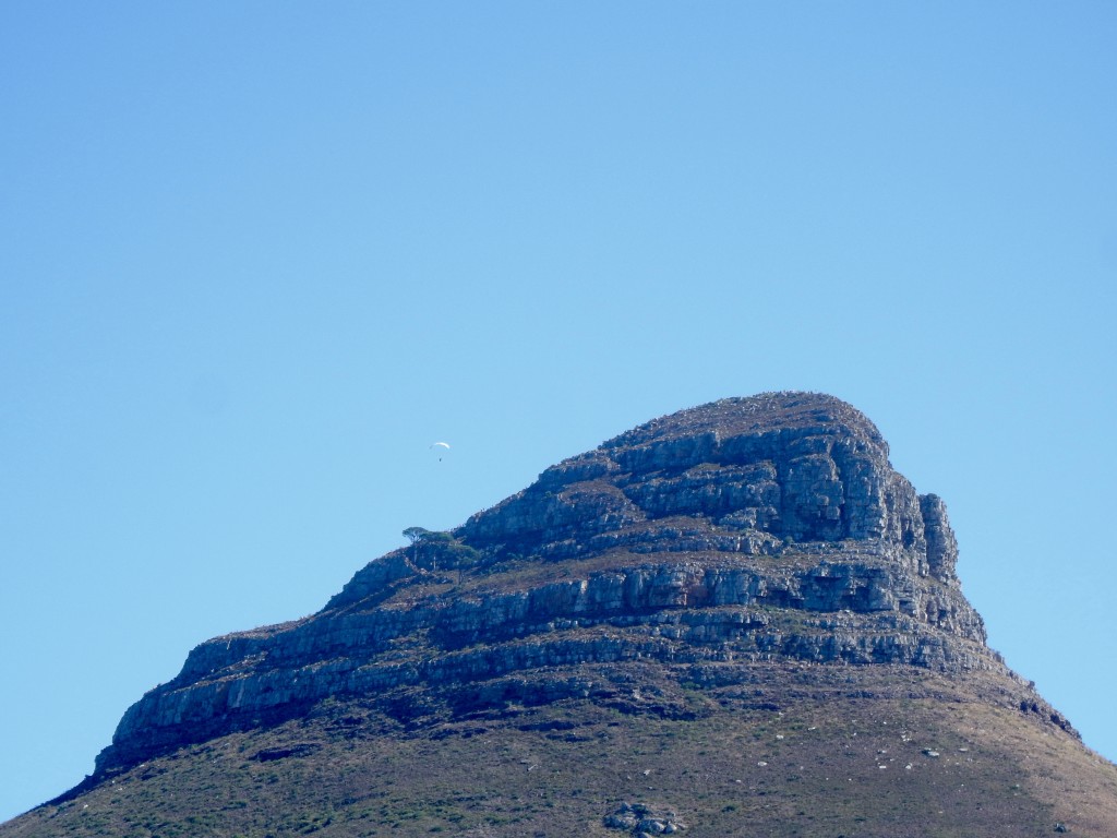Paragliders on Lions Head