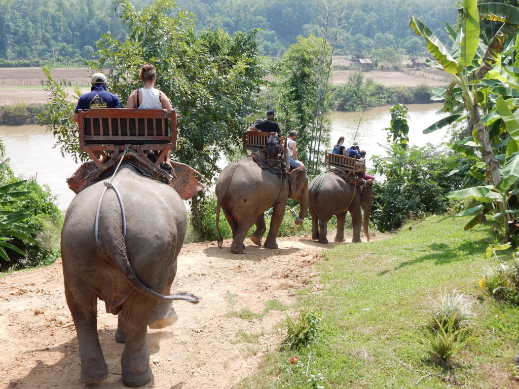 Elephant Village Sanctuary Laos